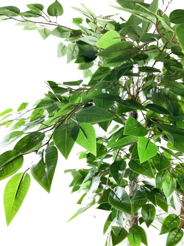 Nettenevime Yapay Ağaç Benjamin 120 cm 1.Kalite Paslanmaz Saksıda Yapay Çiçek Dekoru - Resim 3