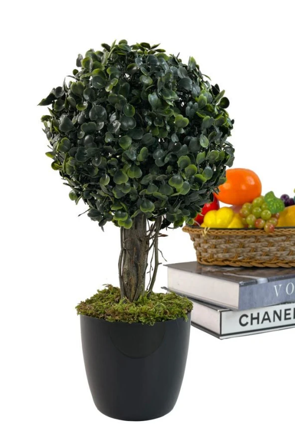 Nettenevime Yapay Ağaç Şimşir Top Tek Toplu 18x35cm Siyah Saksılı - Resim 2