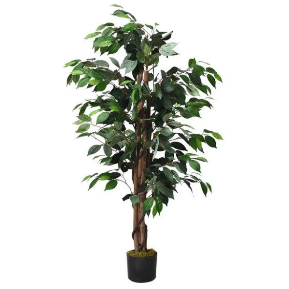 Nettenevime Yapay Ağaç Benjamin 2 Gövdeli Çalılı 120x70cm Siyah Plastik Saksılı
