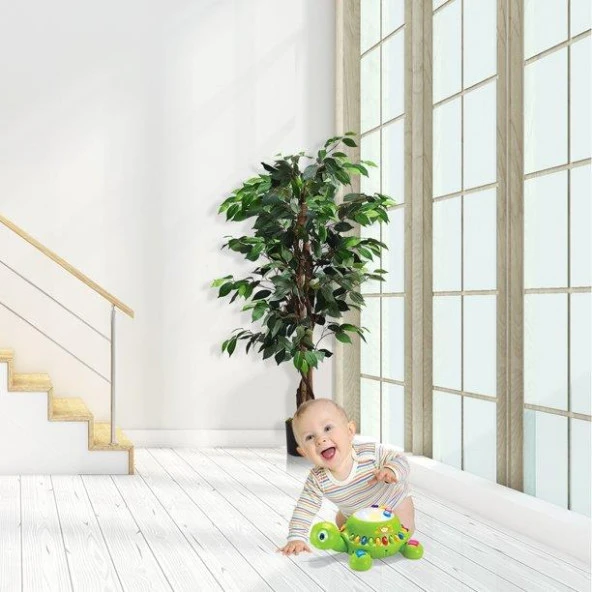 Nettenevime Yapay Ağaç Benjamin 2 Gövdeli Çalılı 120x70cm Siyah Plastik Saksılı - 2