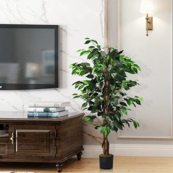 Nettenevime Yapay Ağaç Benjamin 2 Gövdeli Çalılı 120x70cm Siyah Plastik Saksılı - 3