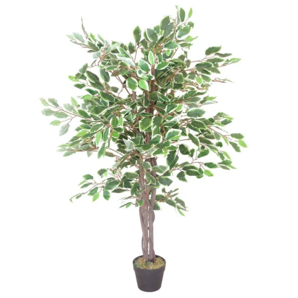 Nettenevime Yapay Ağaç Benjamin Yeşilbeyaz 2 Gövdeli Çalılı 120x70cm Siyah Plastik Saksılı