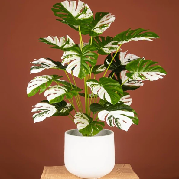 Nettenevime Yapay Ağaç Salon Bitkisi Beyaz Monstera 70 cm 18 Yaprak Antrasit Saksıda Deve Tabanı - 6