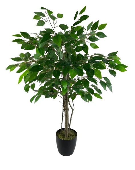 Nettenevime Yapay Ağaç Benjamin 2 Gövdeli Çalılı 90*60cm Siyah Plastik Saksılı - Resim 2