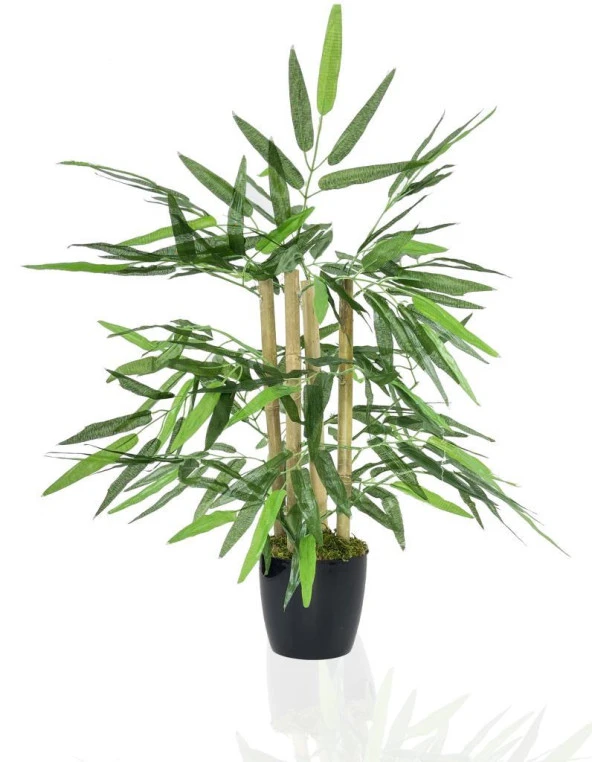 Nettenevime Yapay Ağaç Bambu Ağacı 4 Gövdeli 50X35 Siyah Plastik Saksılı ürün görseli