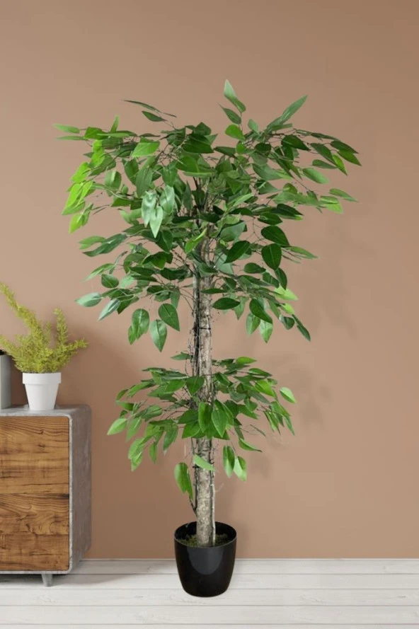 Nettenevime Yapay Ağaç Benjamin 2 Gövdeli Çalılı 2 Katlı 120x70cm Siyah Plastik Saksılı - 3