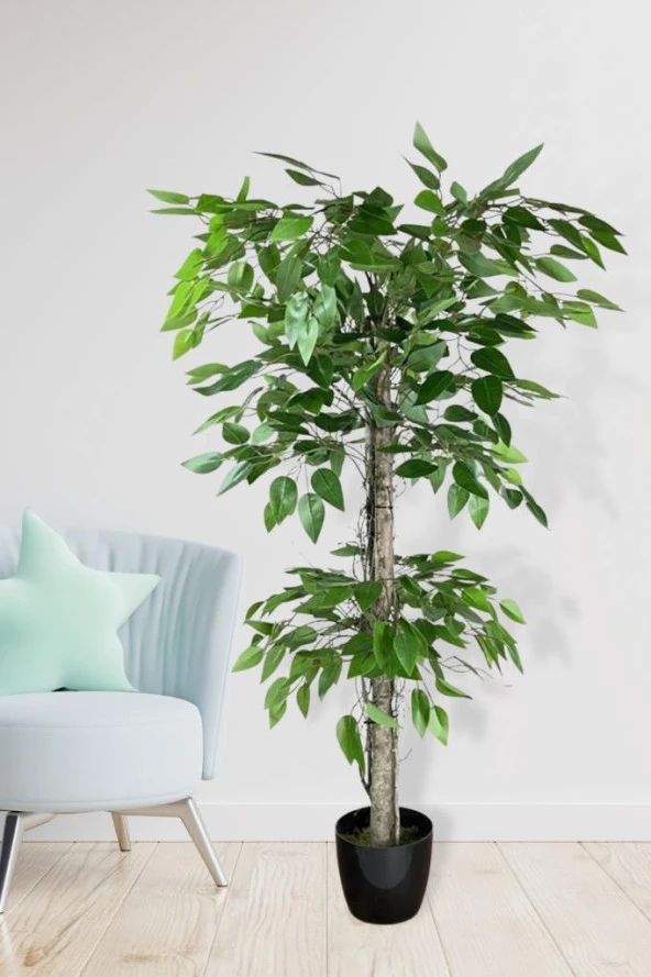 Nettenevime Yapay Ağaç Benjamin 2 Gövdeli Çalılı 2 Katlı 120x70cm Siyah Plastik Saksılı - 4
