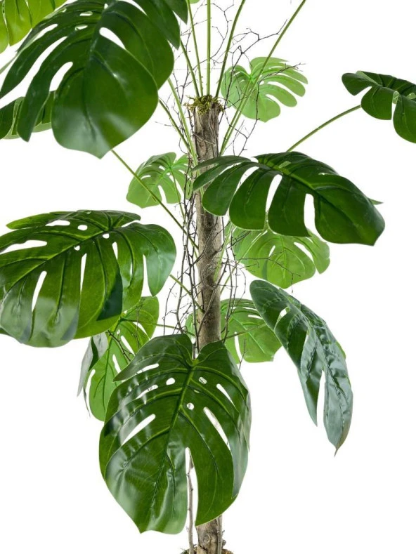 Yapay Ağaç Monstera 18 Dallı Çalılı Gövde 120x60cm Gümüş Aleminyum Saksıda - 5