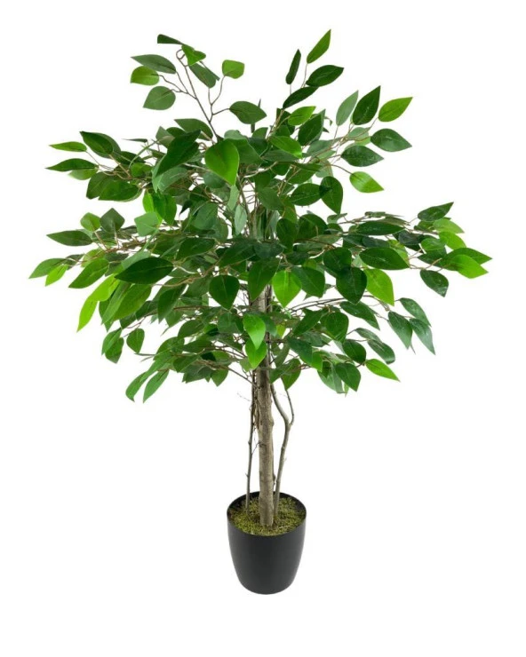 Nettenevime Yapay Ağaç Benjamin 2 Gövdeli Çalılı 90*60cm Siyah Plastik Saksılı
