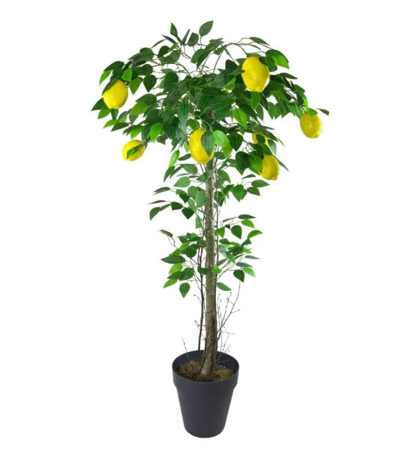 Nettenevime Yapay Limon Ağacı 130cm 8 Limonlu Doğal Görünümlü Siyah Plastik Saksılı Yapay Ağaç