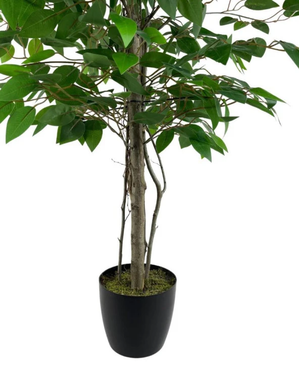 Nettenevime Yapay Ağaç Benjamin 2 Gövdeli Çalılı 90*60cm Siyah Plastik Saksılı - Resim 3