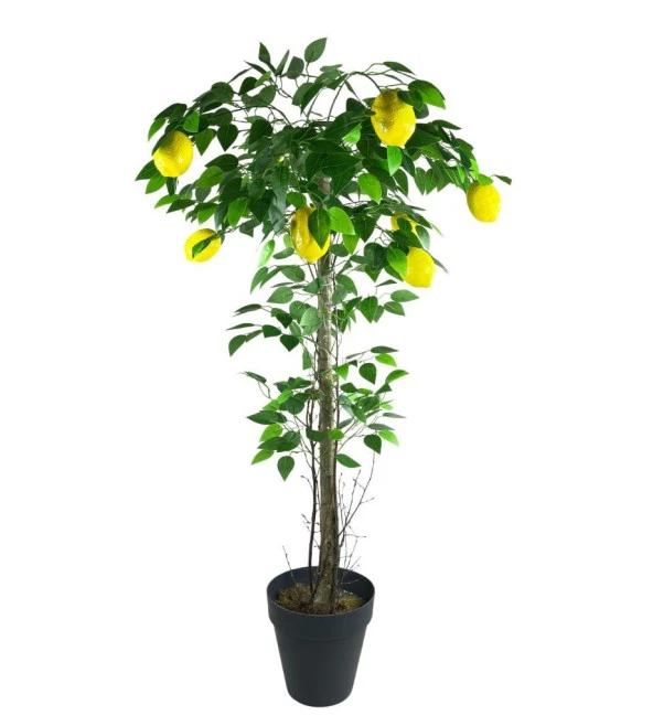Nettenevime Yapay Limon Ağacı 130cm 8 Limonlu Doğal Görünümlü Siyah Plastik Saksılı Yapay Ağaç - 2