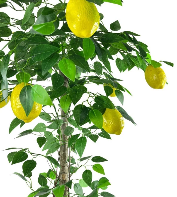 Nettenevime Yapay Limon Ağacı 130cm 8 Limonlu Doğal Görünümlü Siyah Plastik Saksılı Yapay Ağaç - 3
