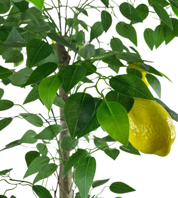 Nettenevime Yapay Limon Ağacı 130cm 8 Limonlu Doğal Görünümlü Siyah Plastik Saksılı Yapay Ağaç - 5