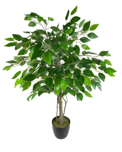 Nettenevime Yapay Ağaç Benjamin 2 Gövdeli Çalılı 90*60cm Siyah Plastik Saksılı - Resim 4