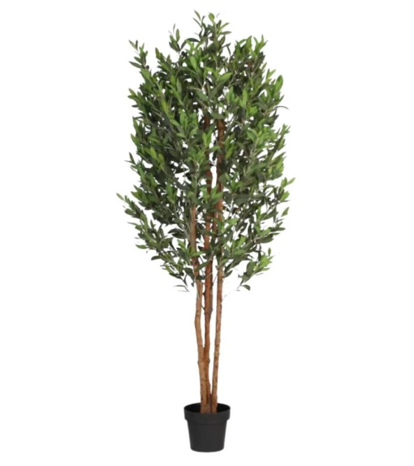 Nettenevime Yapay Zeytin Ağacı 200cm 3 Gövdeli Doğal Gerçek Görünümlü Yapay Ağaç