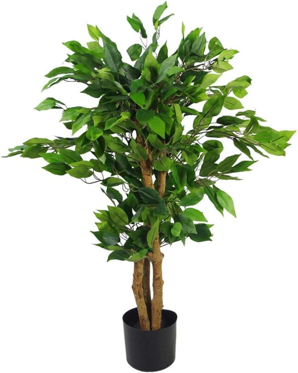 Yapay Ağaç Benjamin 3 Gövdeli Çalılı 100x60cm Siyah Plastik Saksılı - 1
