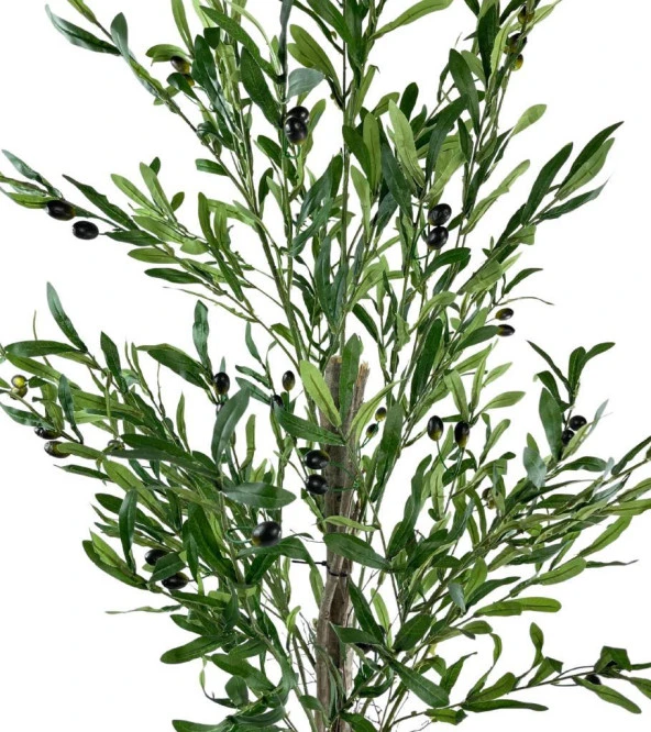 Nettenevime Yapay Zeytin Ağacı 190cm 2 Gövdeli Çalılı Doğal Gerçek Görünümlü Yapay Ağaç - 3