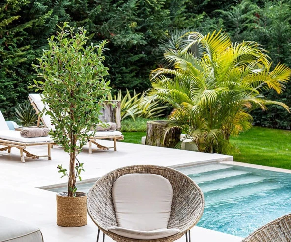 Nettenevime Yapay Zeytin Ağacı 190cm 2 Gövdeli Çalılı Doğal Gerçek Görünümlü Yapay Ağaç - 5