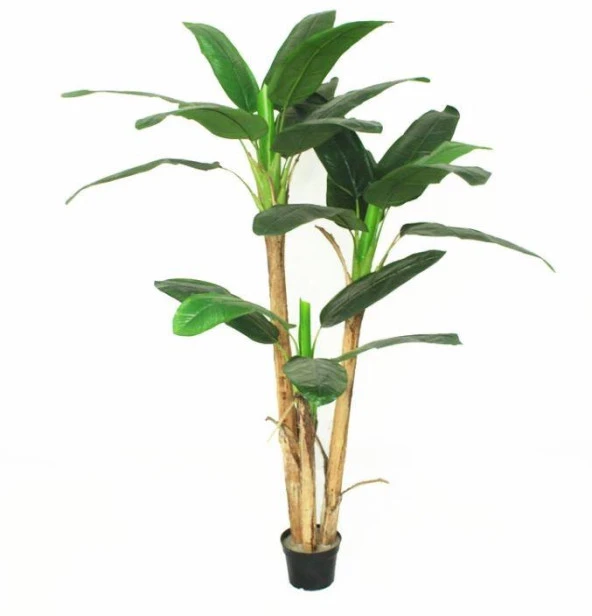 Nettenevime Yapay Ağaç Muz Ağacı Yapay Starliçe 240cm ürün görseli