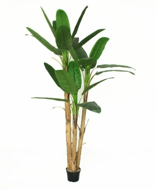 Nettenevime Yapay Ağaç Muz Ağacı Yapay Starliçe 240cm - Resim 4