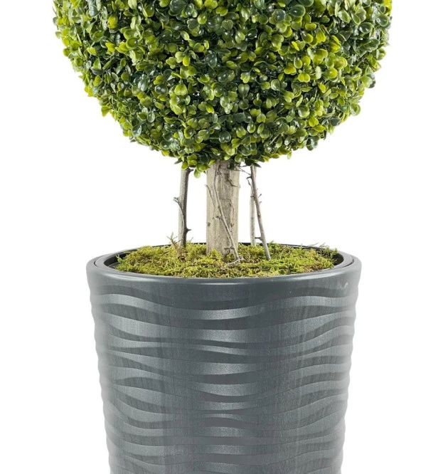 Nettenevime Yapay Ağaç Antrasit Uzun Kumsal Vazoda Şimşir Top Tek Toplu 105cm - 3