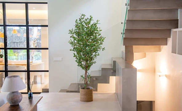 Nettenevime Yapay Zeytin Ağacı 180cm Hasır Örgü Kaplama Saksıda İki Gövdeli Doğal Görünümlü Yapay Ağaç - 3