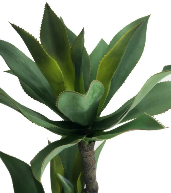 Nettenevime Yapay Ağaç Agave Ağacı 3Gövdeli 160 cm Premium Kalite - Resim 5