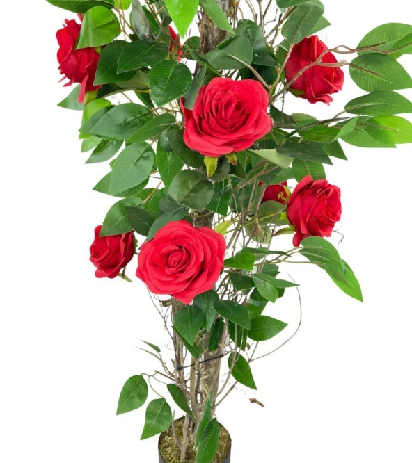 Nettenevime Yapay Ağaç Kırmızı Gül Ağacı 90cm Doğal Salex Dallı - Resim 7