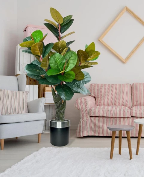 Nettenevime Yapay Ağaç Kauçuk Ağacı Metal Gümüş Kemerli Saksıda Ficus Elastica Salon Çiçeği 150*90 61 Yaprak - 3