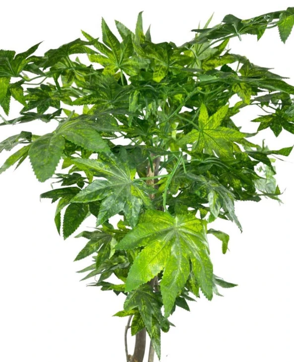 Nettenevime Yapay Ağaç Yeşil Çınar Ağacı100x70cm Siyah Plastik Saksılı - Resim 4