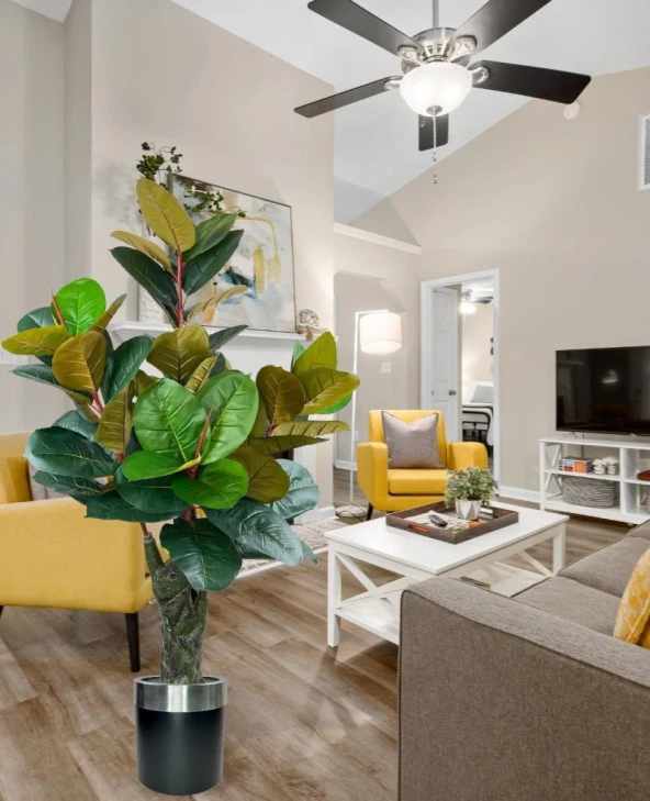 Nettenevime Yapay Ağaç Kauçuk Ağacı Metal Gümüş Kemerli Saksıda Ficus Elastica Salon Çiçeği 150*90 61 Yaprak - 2