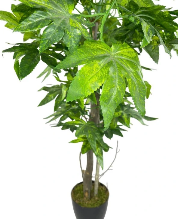 Nettenevime Yapay Ağaç Yeşil Çınar Ağacı100x70cm Siyah Plastik Saksılı - Resim 5