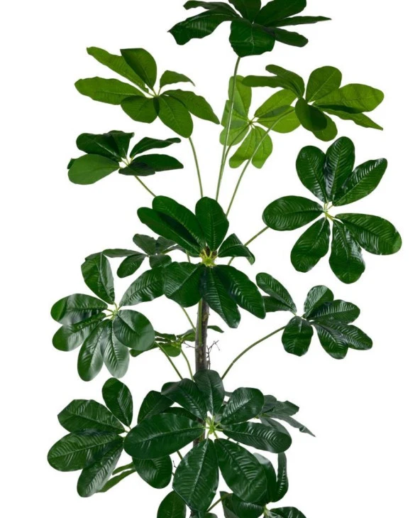 Nettenevime Yapay Ağaç Şeflera 18 Dallı Çalılı Gövde 120x60cm Gümüş Aleminyum Saksıda - Resim 4