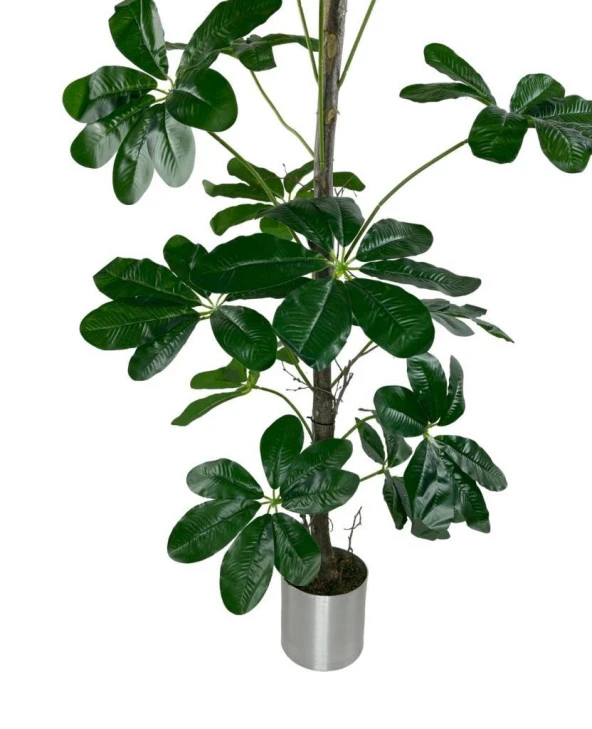 Nettenevime Yapay Ağaç Şeflera 18 Dallı Çalılı Gövde 120x60cm Gümüş Aleminyum Saksıda - Resim 5