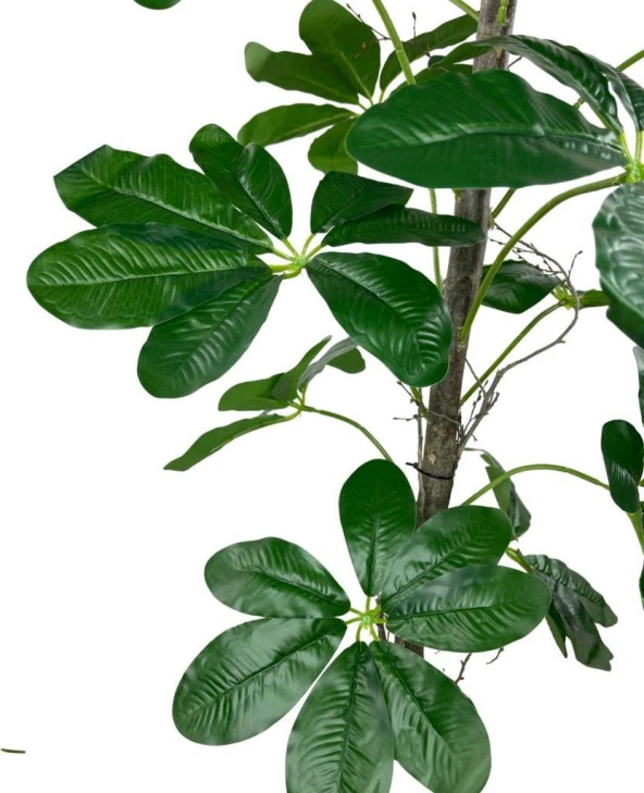 Nettenevime Yapay Ağaç Şeflera 18 Dallı Çalılı Gövde 120x60cm Gümüş Aleminyum Saksıda - Resim 6