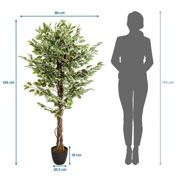Yapay Ağaç Benjamin Yeşilbeyaz 2 Gövdeli Çalılı 165*80cm Siyah Plastik Saksılı - 8