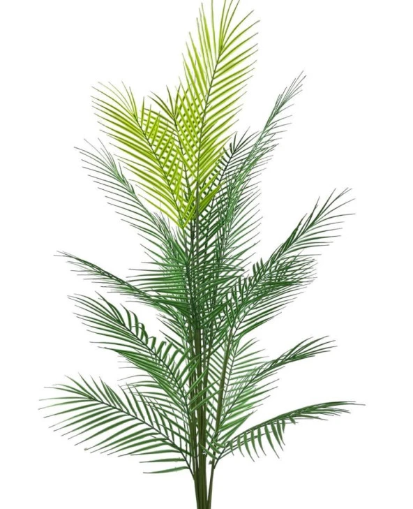 Nettenevime Yapay Ağaç Areka Ağacı Salon Bitkisi Siyah Gold Metal Vazoda 130 cm 12 Yaprak - 6