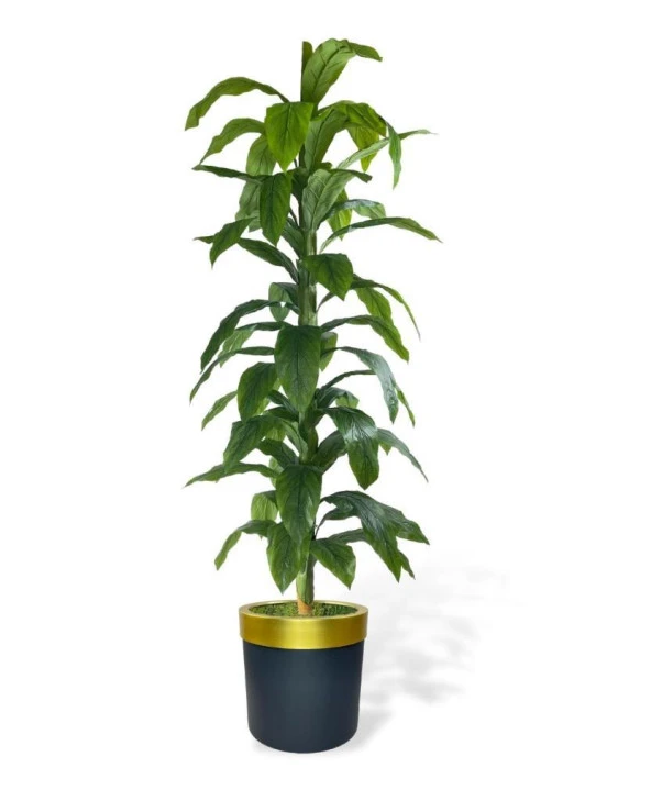 Nettenevime Yapay Ağaç Yukka Dracena 180*70cm Galvaniz Gold Kemerli Siyah Saksıda Salon Çiçeği Yapay Çiçek