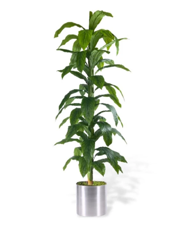 Nettenevime Yapay Ağaç Yukka Dracena 180*70cm Galvaniz Saksıda Salon Çiçeği Yapay Çiçek