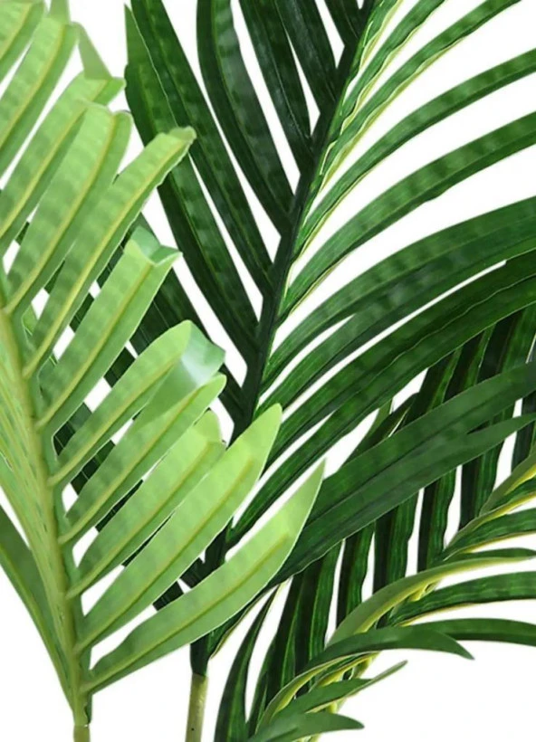 Nettenevime Yapay Ağaç Areka Ağacı Palmiye Ağacı Salon Bitkisi 140cm Siyah Saksılı - Resim 3