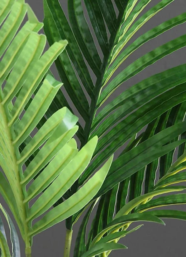 Nettenevime Yapay Ağaç Areka Ağacı Palmiye Ağacı Salon Bitkisi 140cm Siyah Saksılı - Resim 4