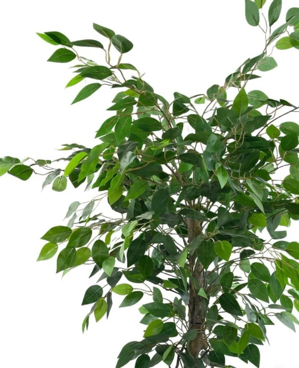 Nettenevime Yapay Ağaç Benjamin Yeşil SAlex Dallı 110*70cm Siyah Plastik Saksılı - Resim 2