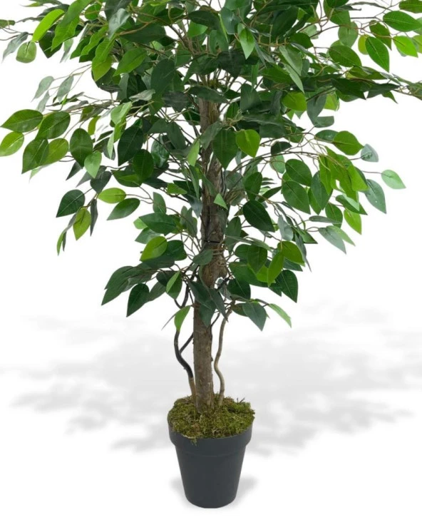 Nettenevime Yapay Ağaç Benjamin Yeşil SAlex Dallı 110*70cm Siyah Plastik Saksılı - Resim 3