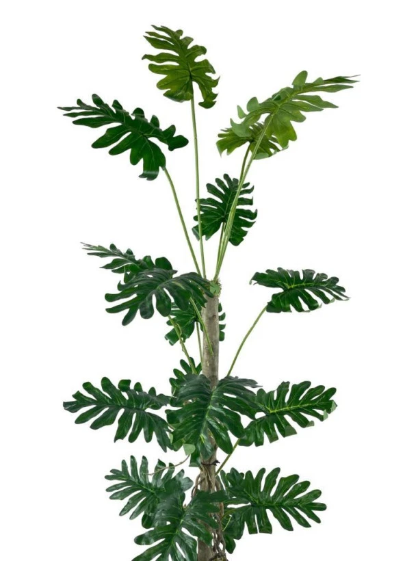 Nettenevime Yapay Ağaç Syngonium plants 18 Dallı Çalılı Gövde 120x60cm Gümüş Aleminyum Saksıda - Resim 2