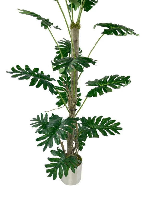 Nettenevime Yapay Ağaç Syngonium plants 18 Dallı Çalılı Gövde 120x60cm Gümüş Aleminyum Saksıda - Resim 3