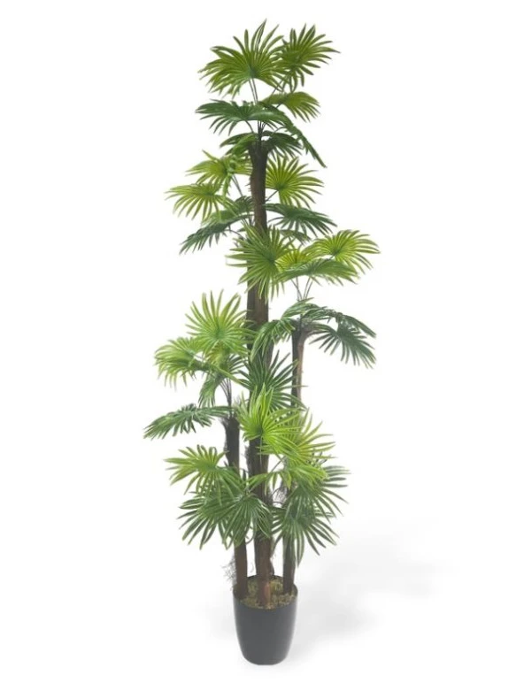 Nettenevime Yapay Ağaç Yelpaze Palmiye 5Katlı Fanpalm 40 Yaprak 180*65cm
