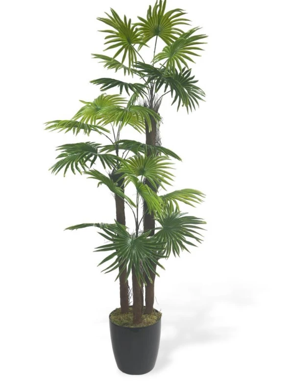 Nettenevime Yapay Ağaç Palmiye Fanpalm 3Katlı 24Yaprak 130*65cm