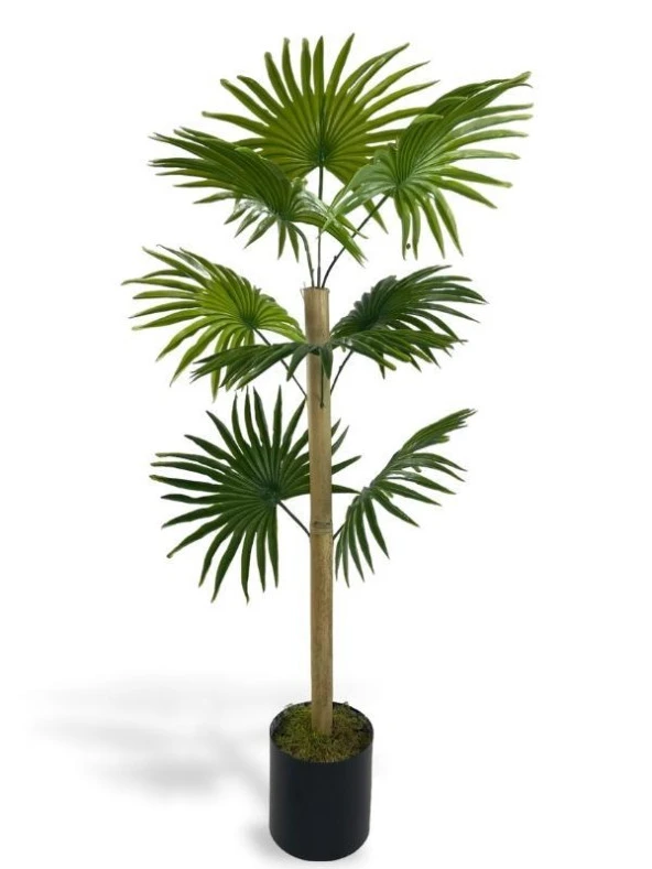 Nettenevime Yapay Ağaç Fanpalm 8Yaprak 85*45cm Yelpaze Palmiye Siyah Aleminyum Saksı ürün görseli 1