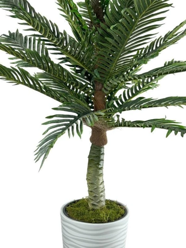 Nettenevime Yapay Ağaç Coco Palmiye Ağacı Beyaz Kumsal Vazoda 190*80 cm - Resim 4